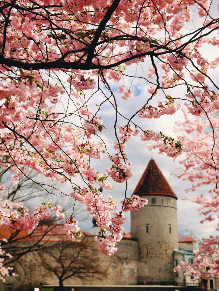 Photograph by Veronika Lemke