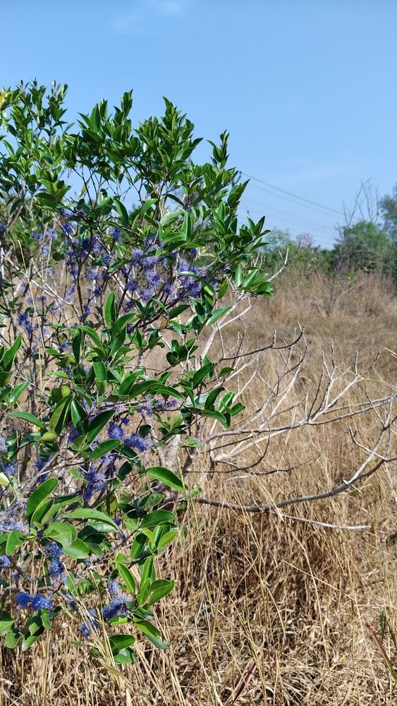 Between dry earth and endless blue, hope grows.