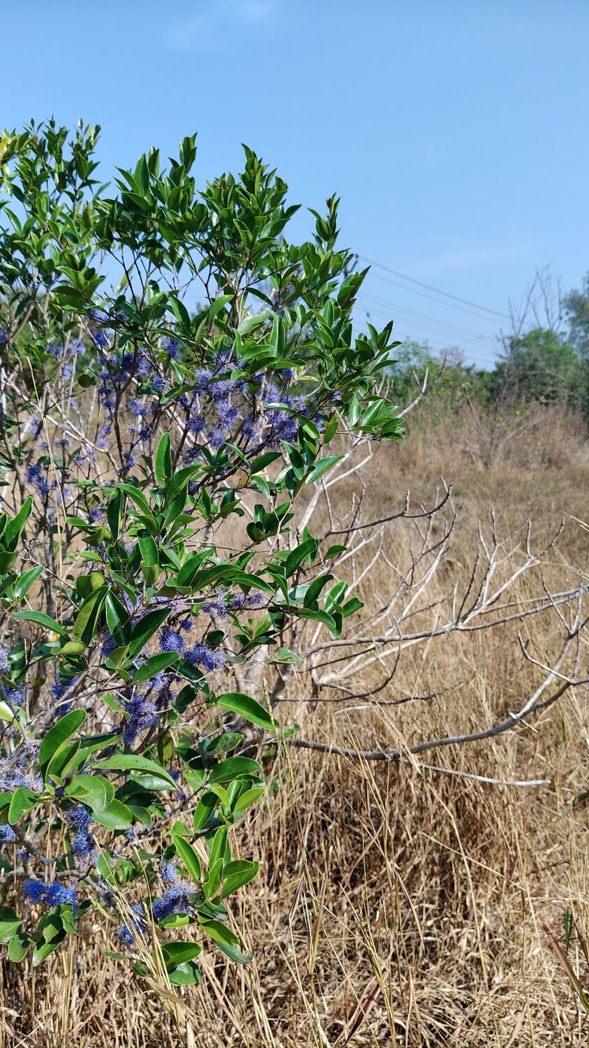 Between dry earth and endless blue, hope grows.
