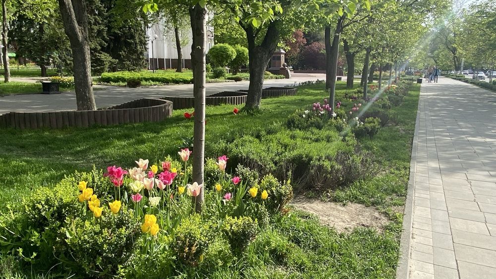 Photograph by Сергей Смирнов