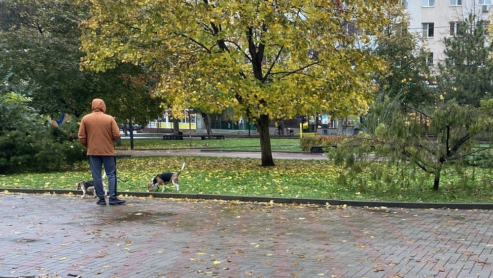 Photograph by Сергей Смирнов