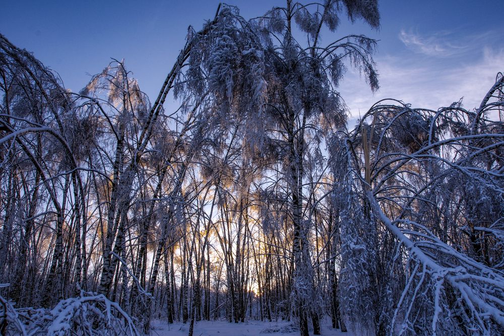 Photograph by Дмитрий Потапов