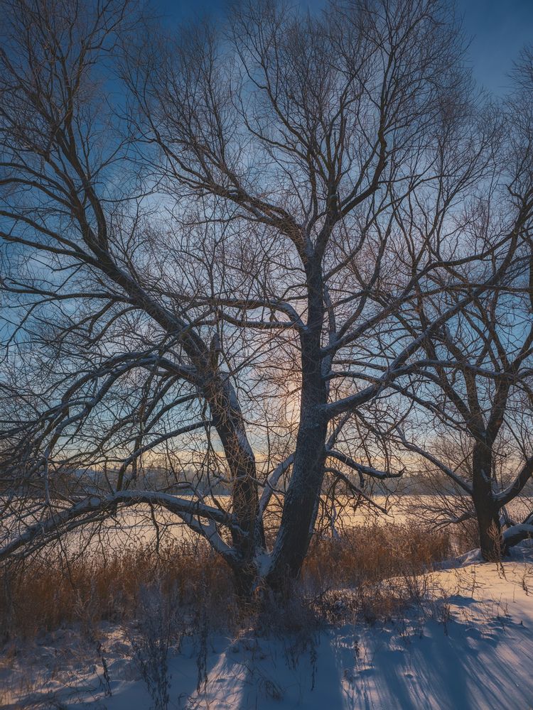 Photograph by Кирилл Сидоров