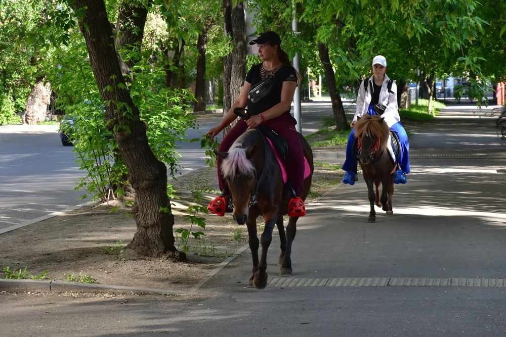 Photograph by Нина Кольман