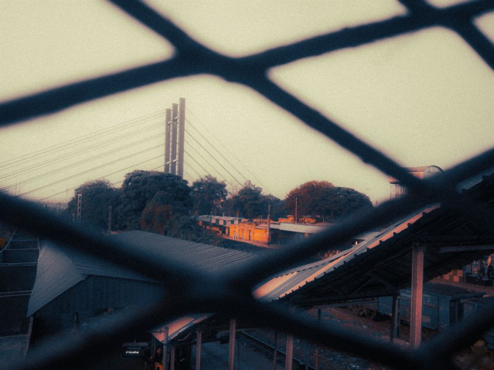 Urban jungle