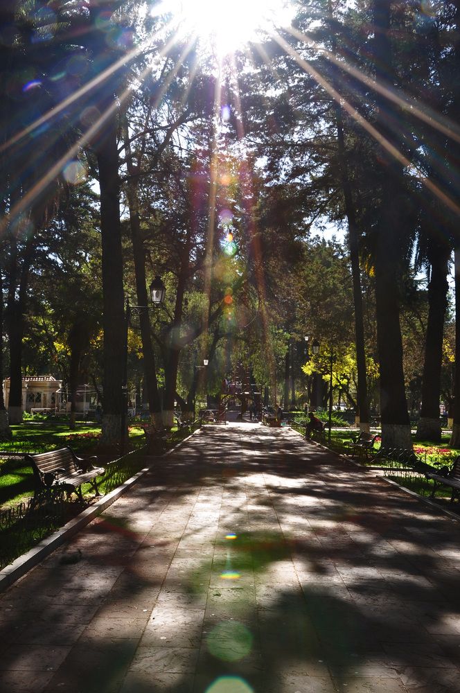 Photograph by Nobu-Oh