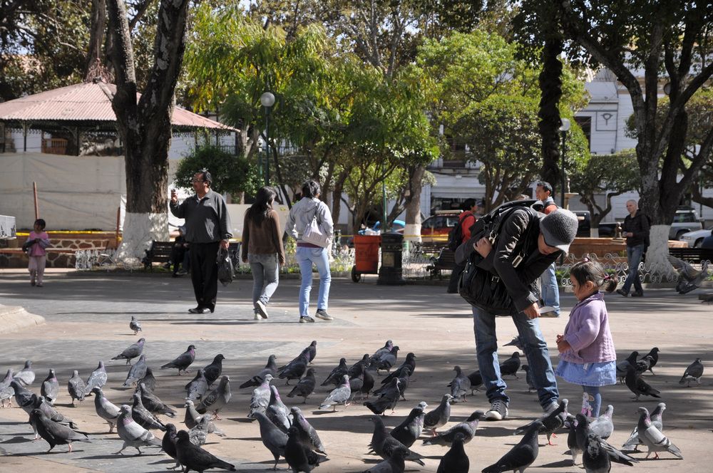 Photograph by Nobu-Oh