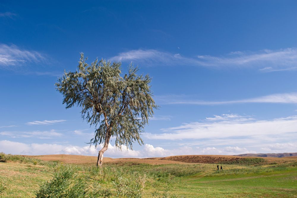 Photograph by Ерназар Жумабеков