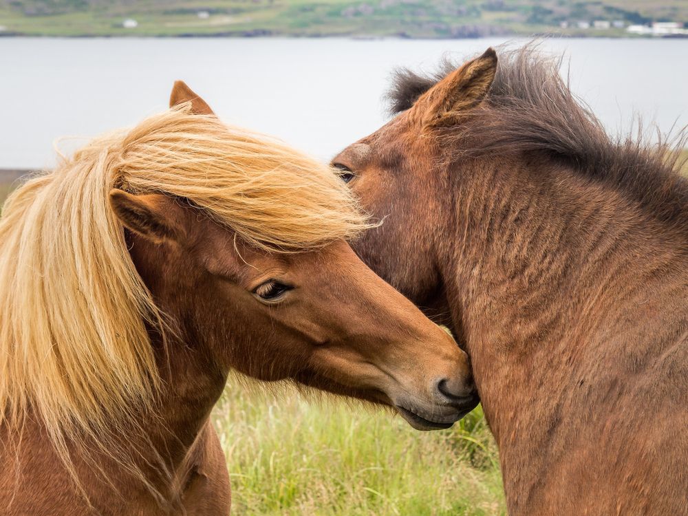 Photograph by Александр Авдушев