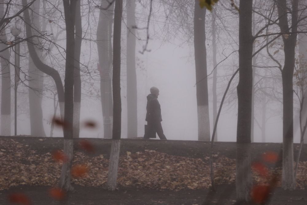 Утро в парке. Боровичи.