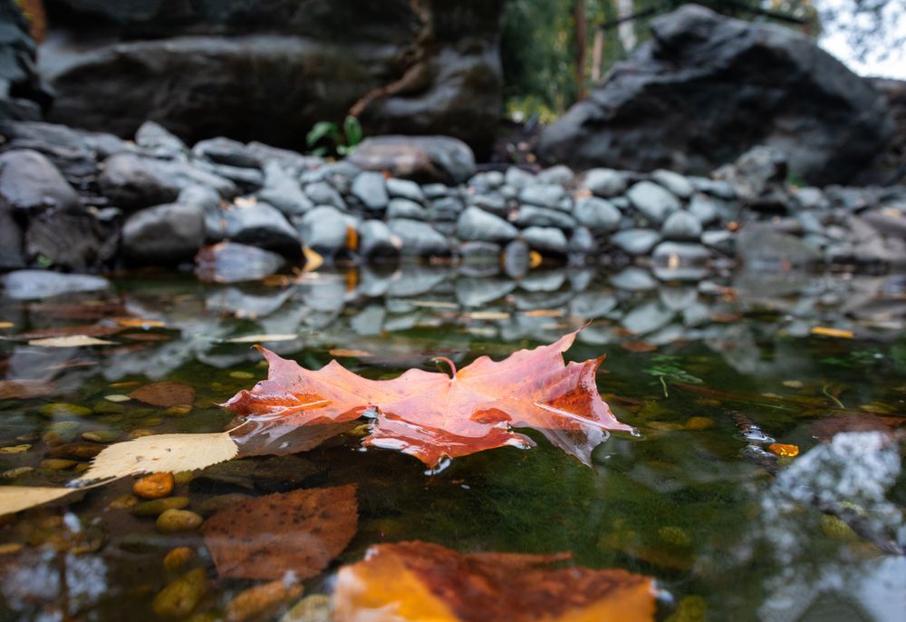 Photograph by Дмитрий Тимин