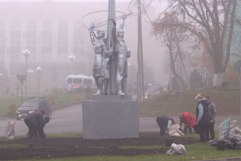 Увядание. Осень. Боровичи.