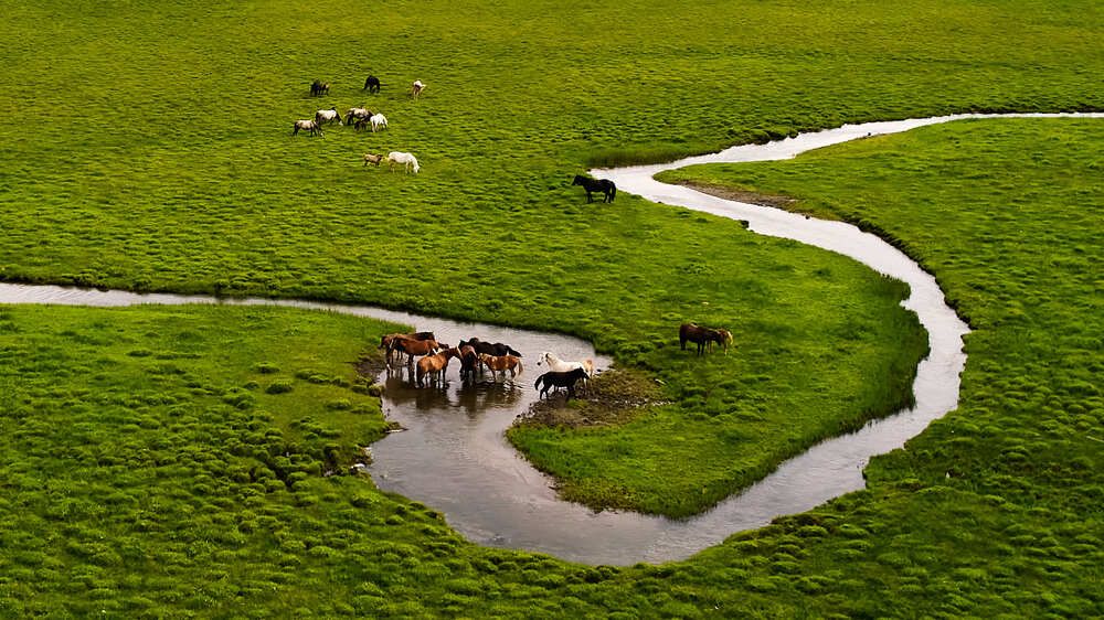 Фотография автора TOTORO