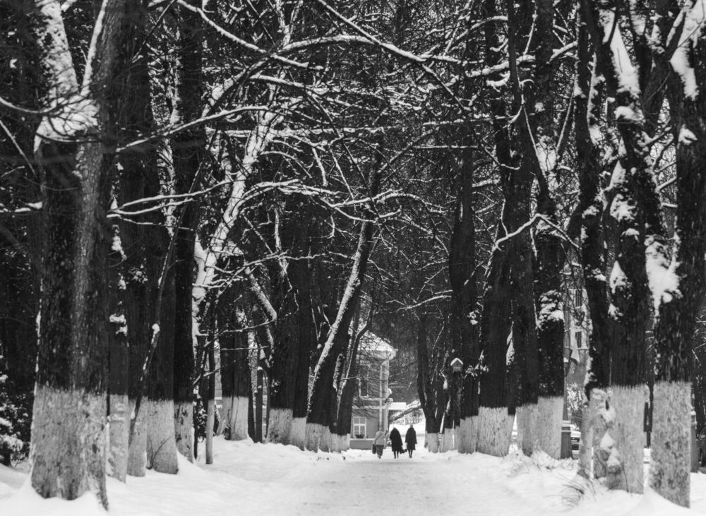 Зимний парк. Боровичи.