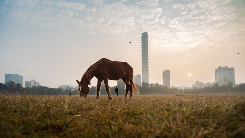 Photograph by sumit basu