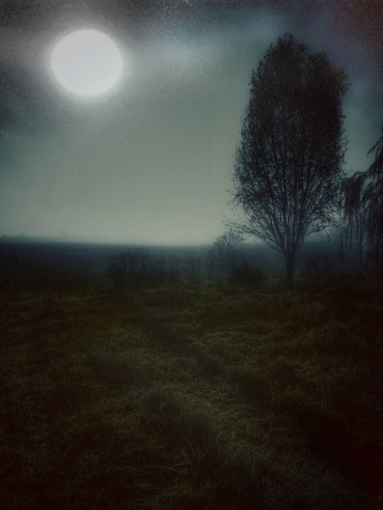 Фотография автора Régáisz Norbert