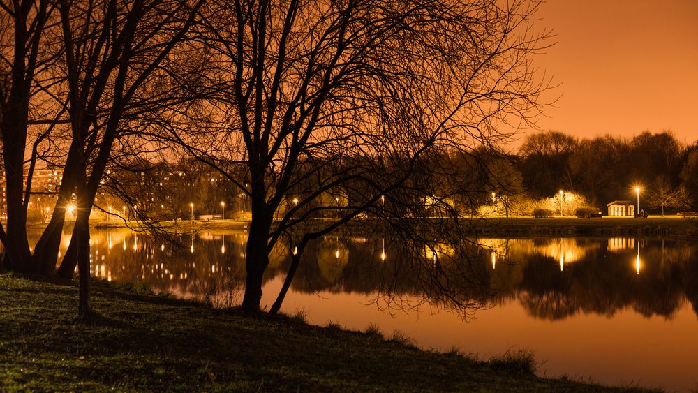 Photograph by Анастасия Васина