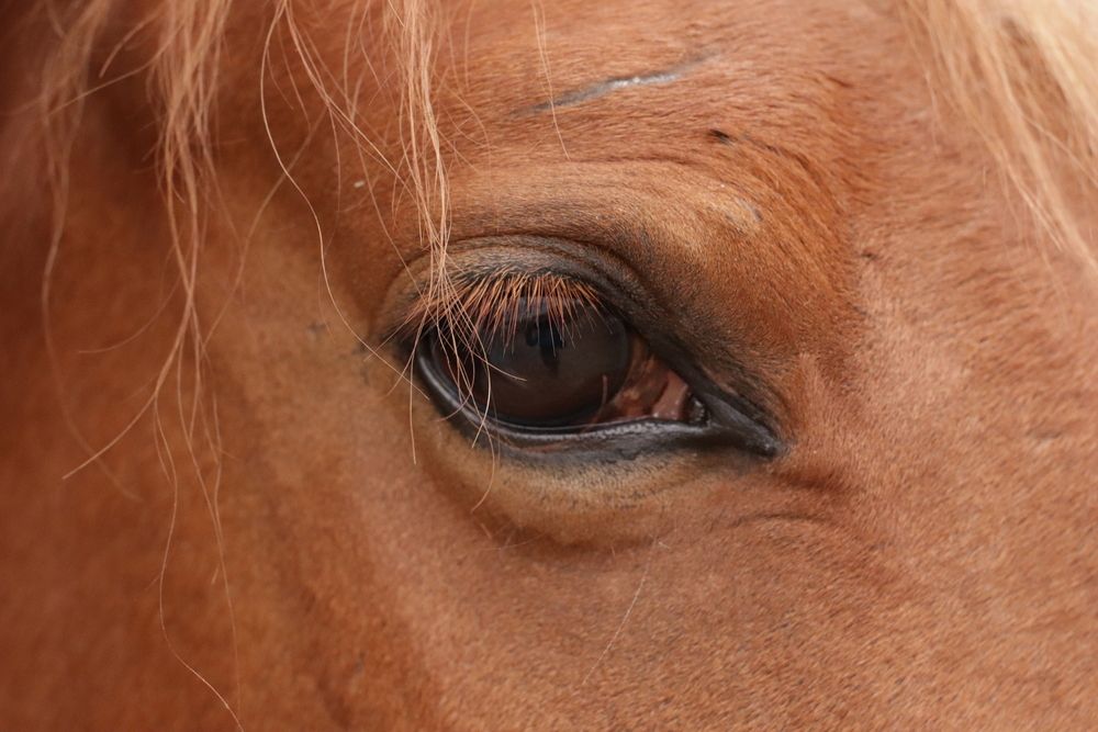 Photograph by Татьяна Сиволобова