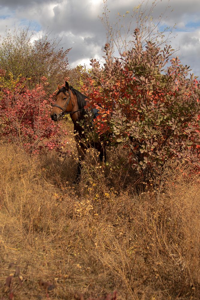 Photograph by Татьяна Сиволобова