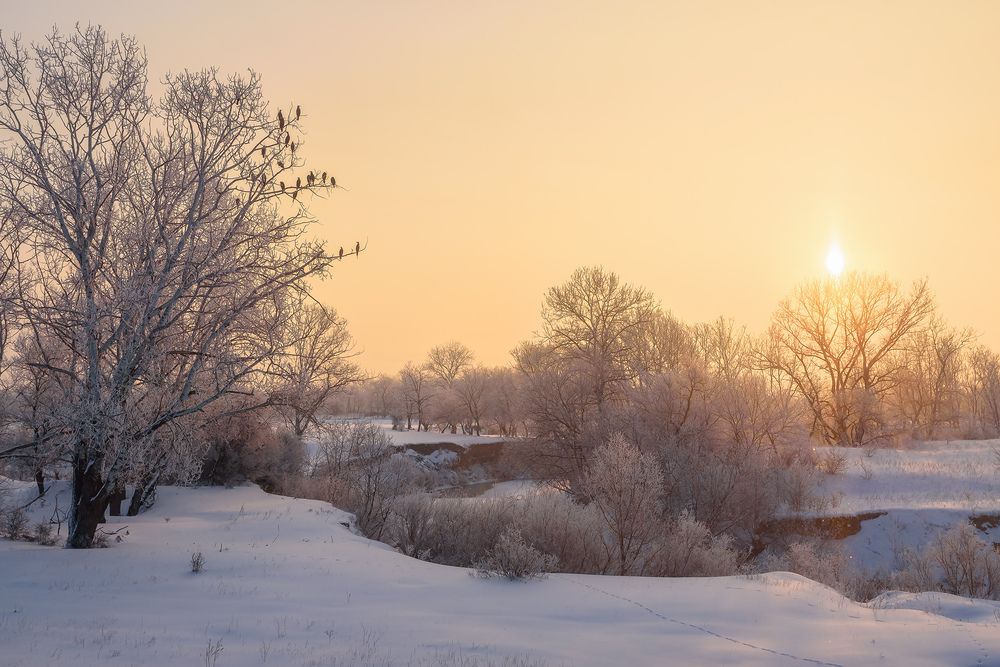 Фотография автора Zakharov Armen