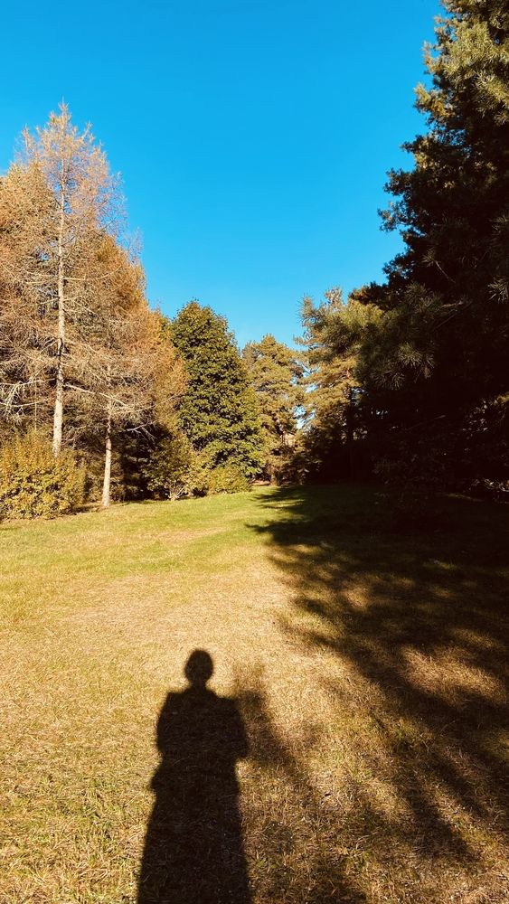 Фотография автора Анна Кулакова