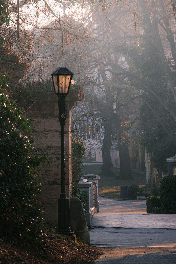 Photograph by Veronika Biró