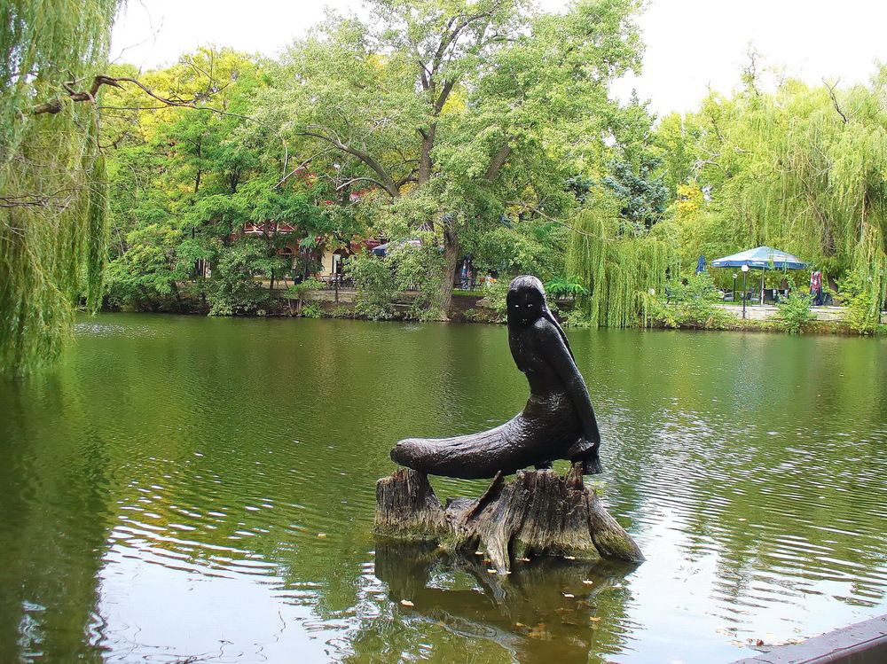 Photograph by Светлана Стрыгина