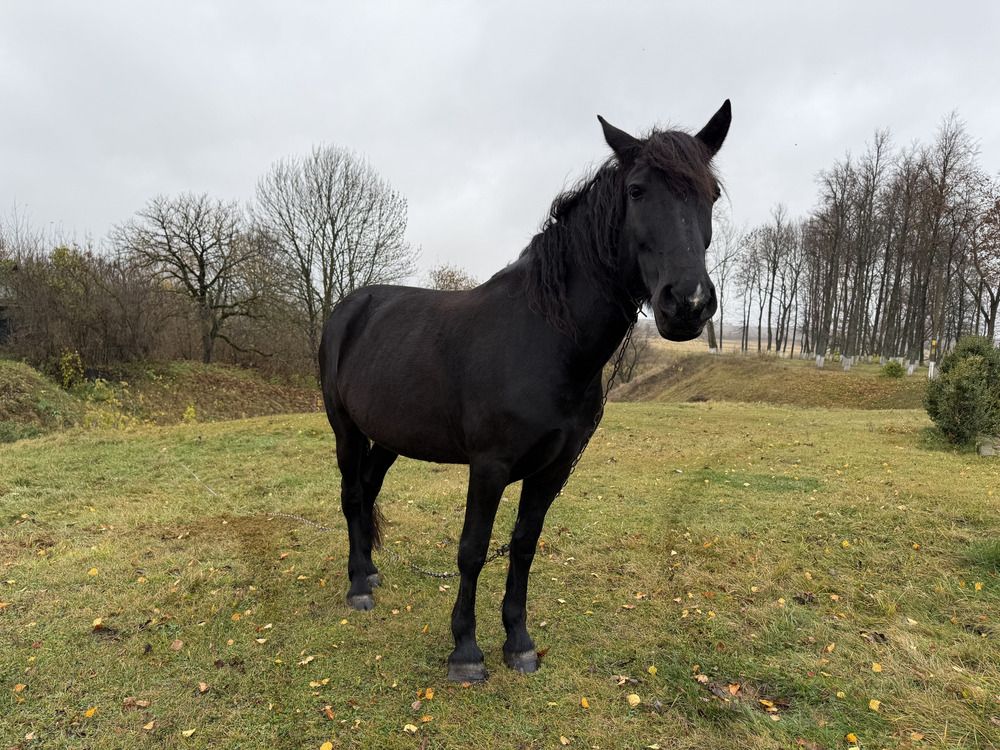 Фотография автора Юлия Денисенко