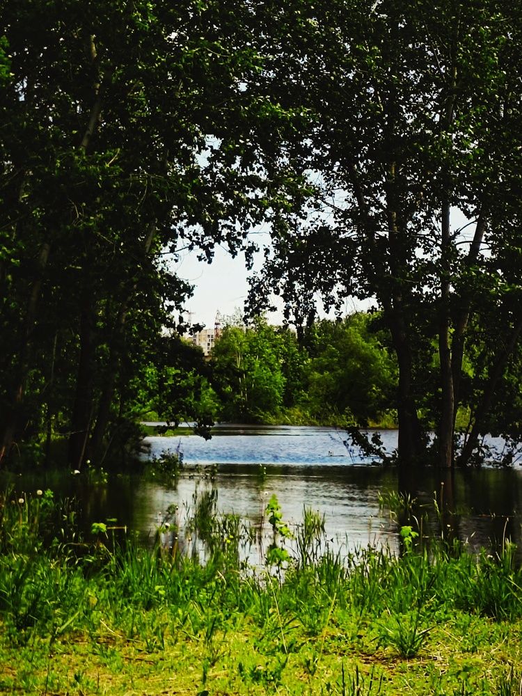 Photograph by Наталья Силантьева