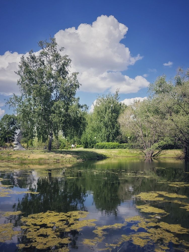 Фотография автора Наталья Силантьева