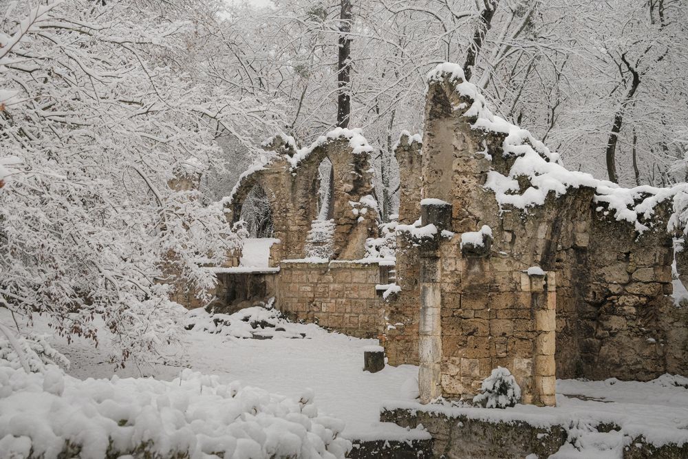 Photograph by Veronika Biró