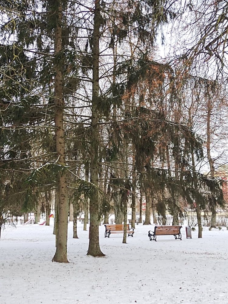 Photograph by Ирина Семенович