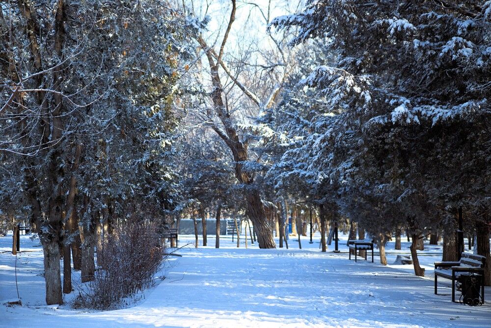 Фотография автора Татьяна Салиева