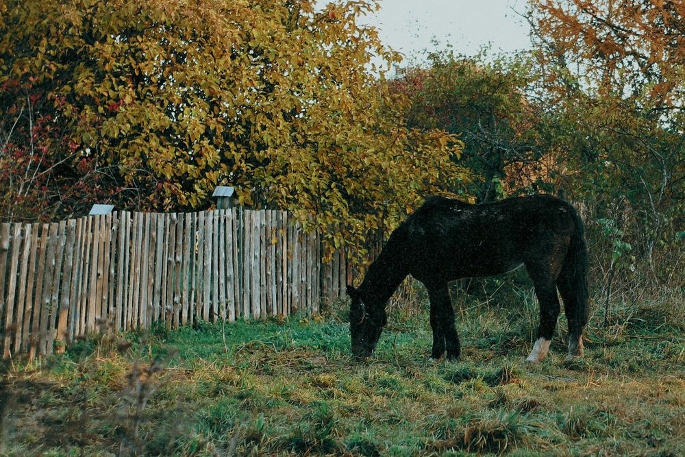 Photograph by Татьяна Герман