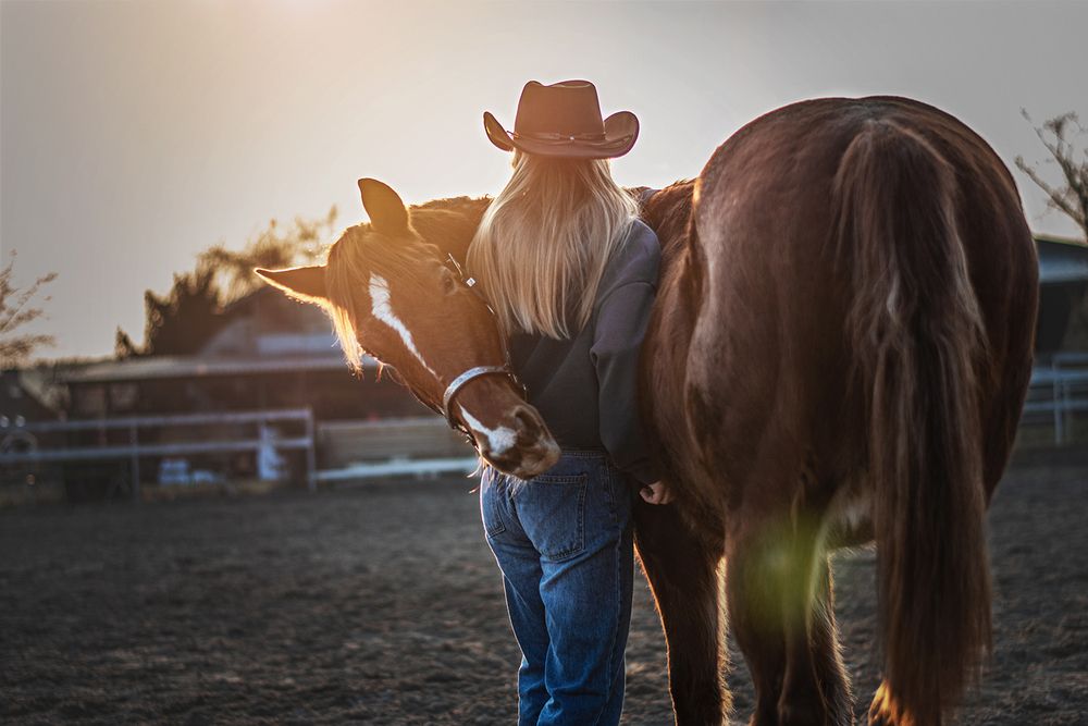 The Horse as a Mirror of the Soul