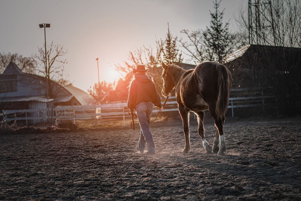 The Horse as a Mirror of the Soul