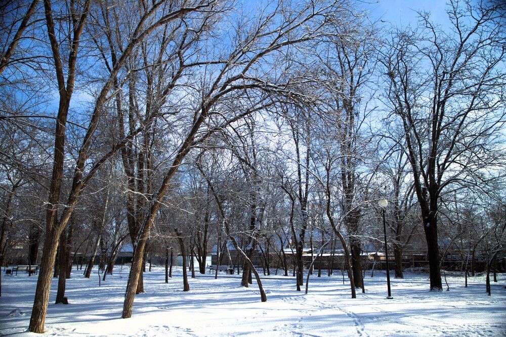 Фотография автора Татьяна Салиева
