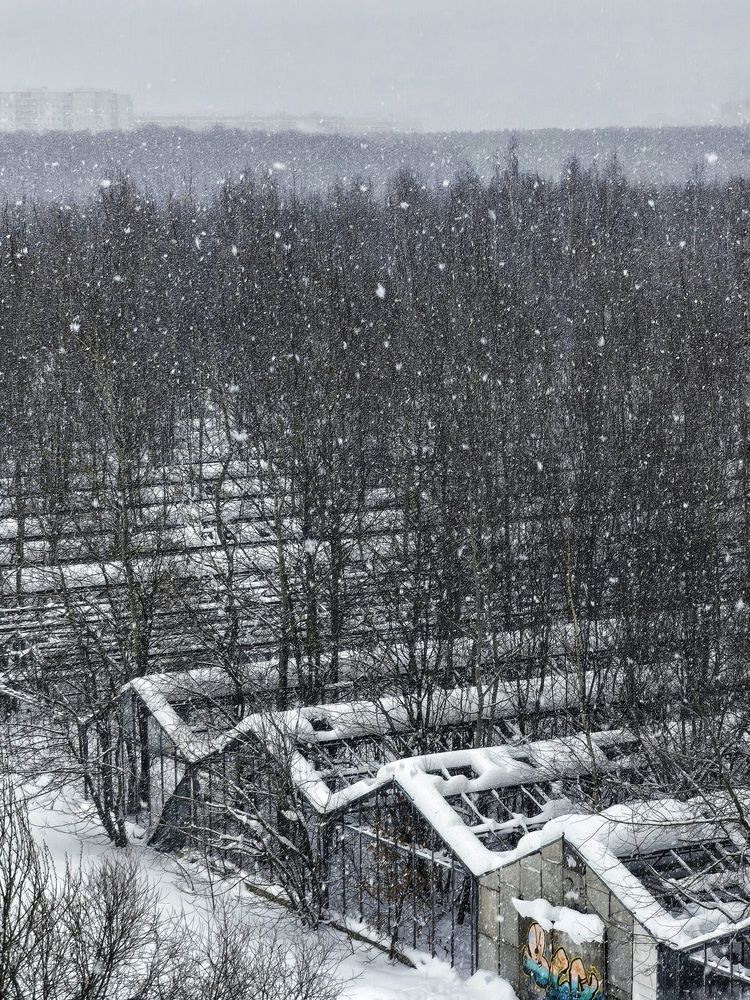 Фотография автора Олеся Хижко