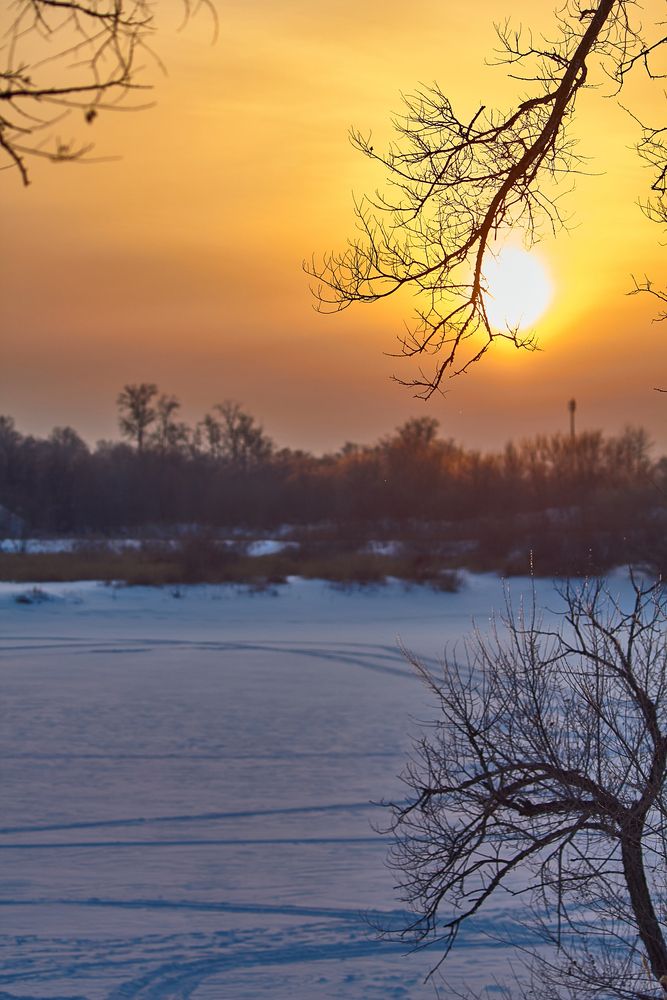 Фотография автора Наталия Мащенко