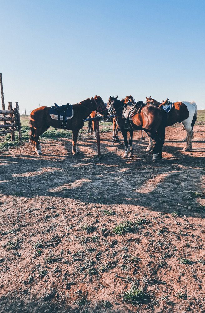 Photograph by Татьяна Сиволобова