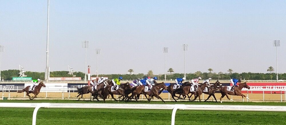 Фотография автора Елена Александрова