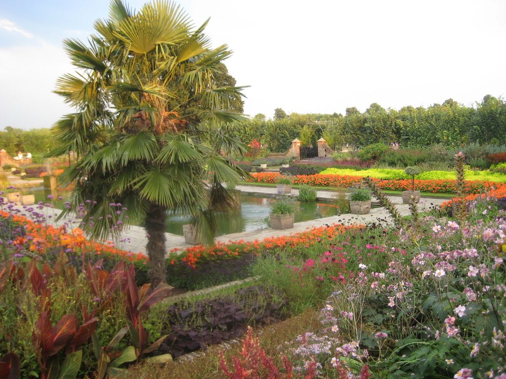 Фотография автора Елена Александрова