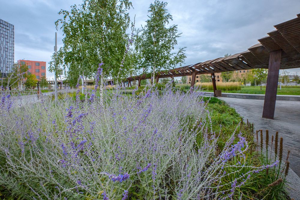 Photograph by Андрей Лысиков