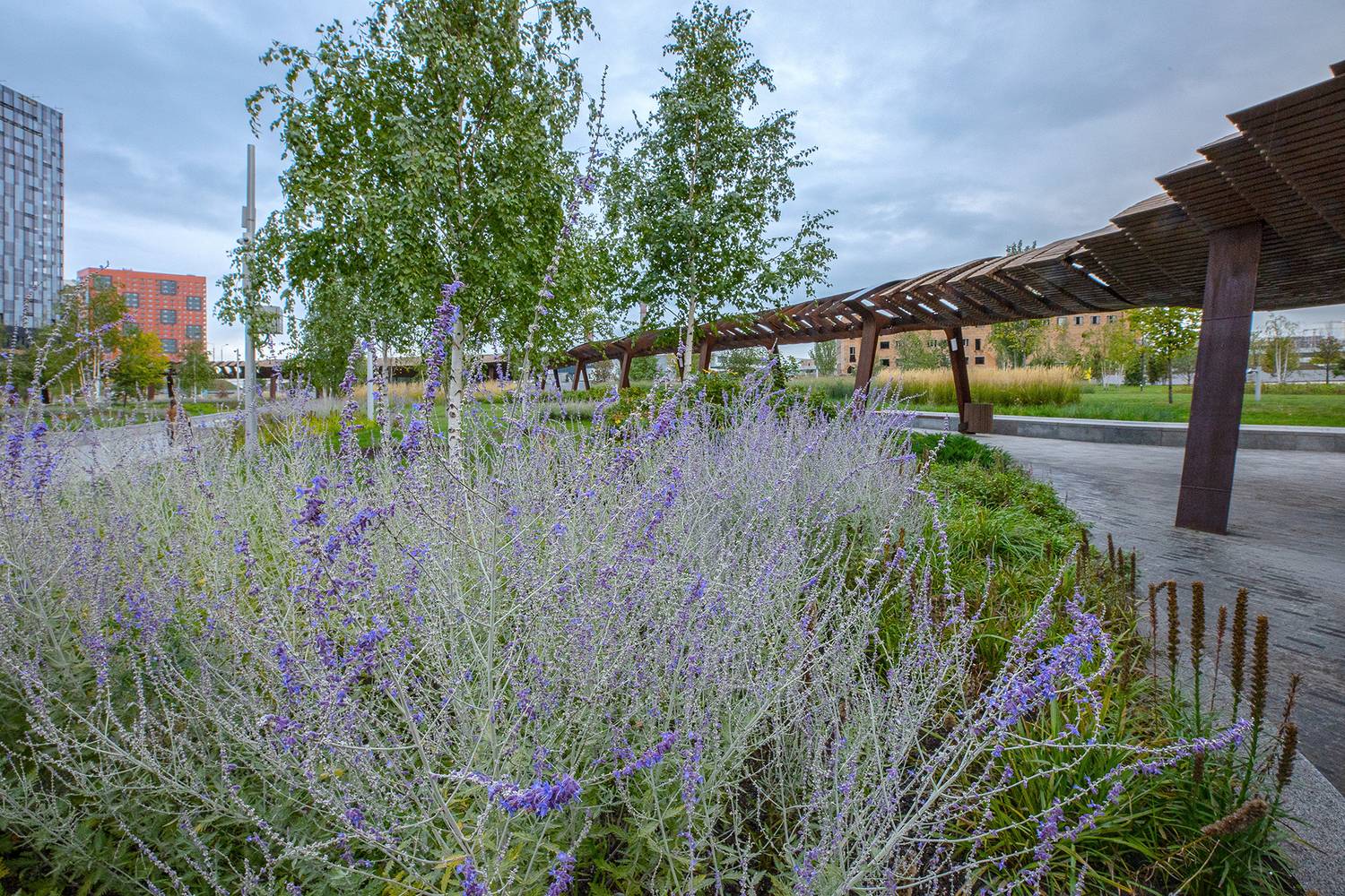 Фотография #13067541