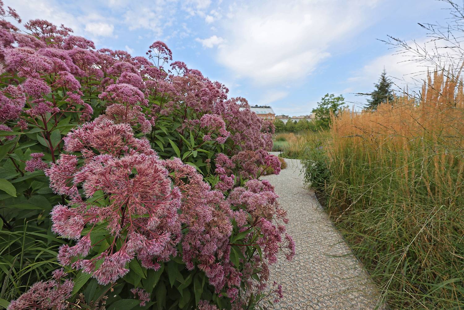 Фотография #13067542