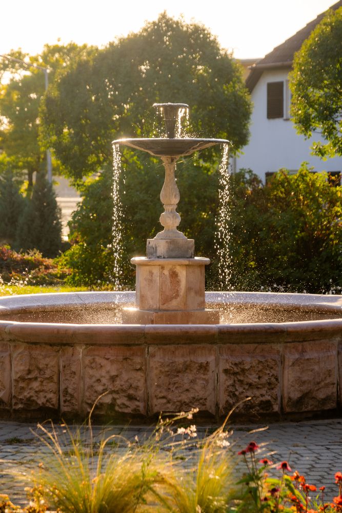 Photograph by Veronika Biró