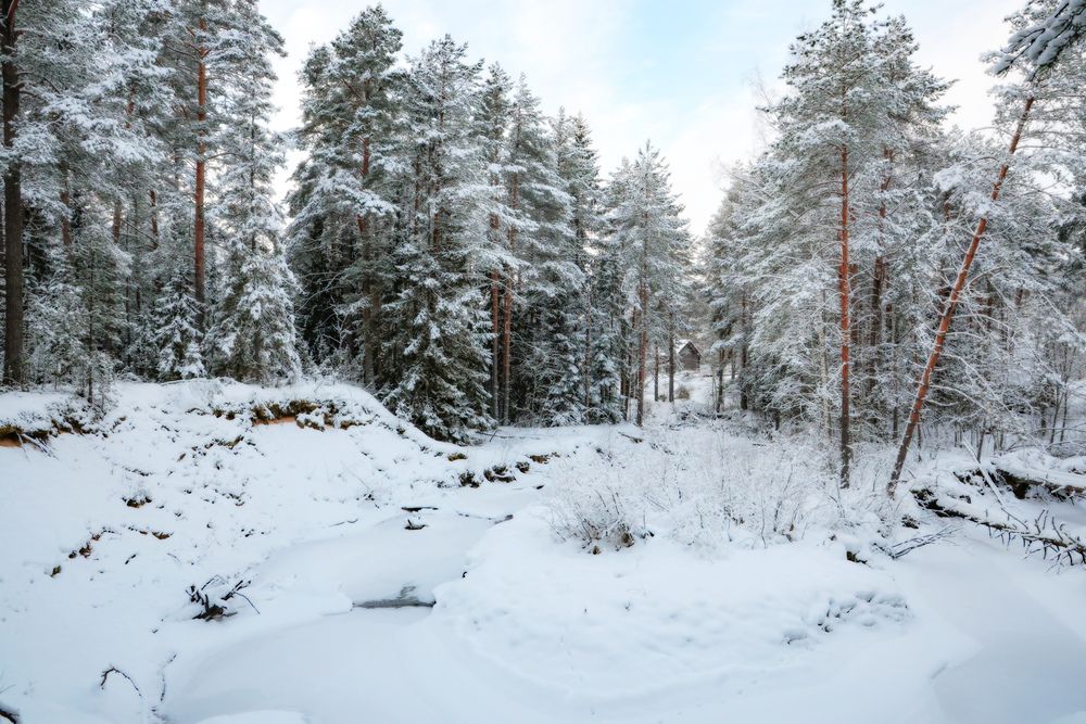 Photograph by Алексей Голубев