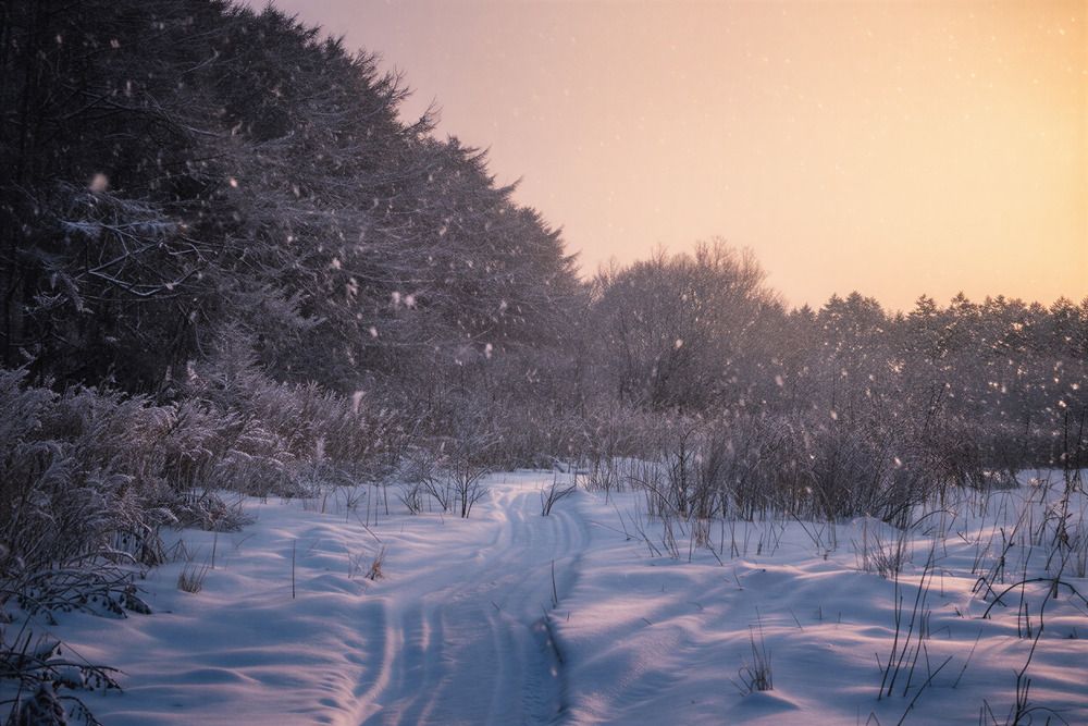 Photograph by Андрей Щербинин