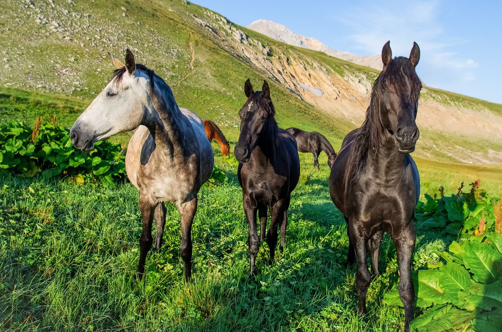 Photograph by Роман Приходько