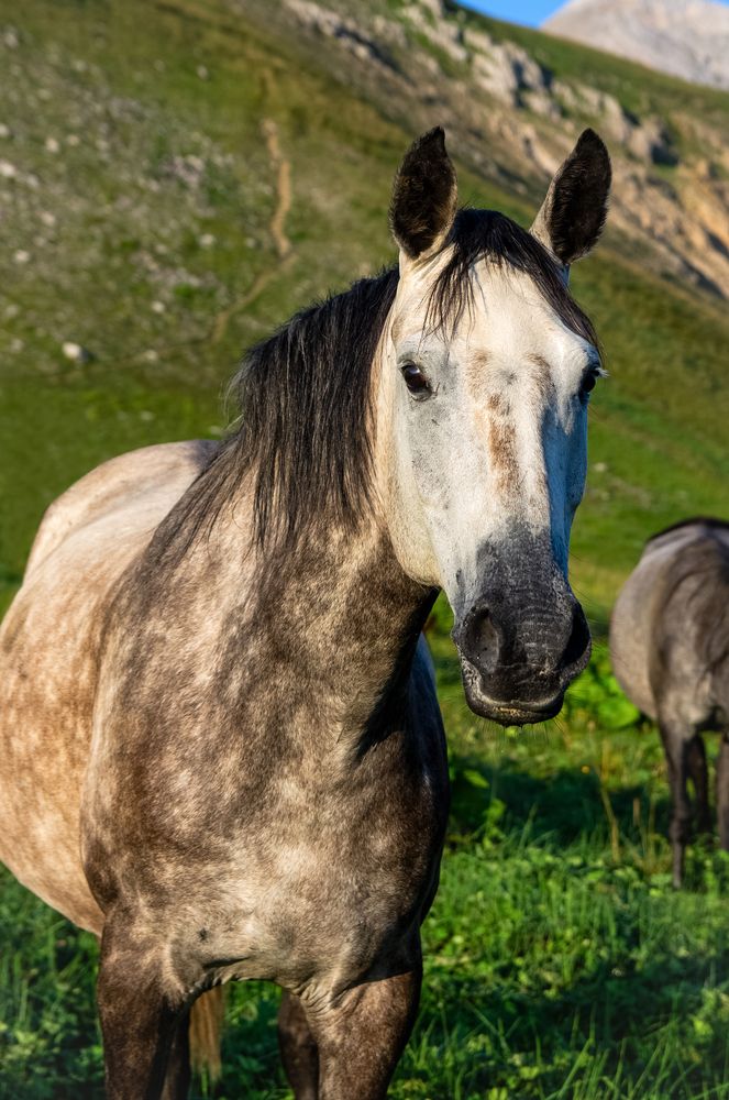 Photograph by Роман Приходько